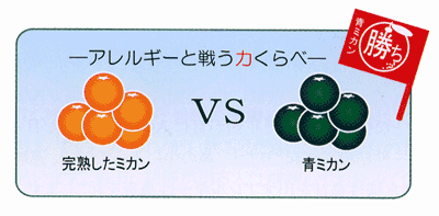 �Ĥߤ���Υ���륮�����臘��